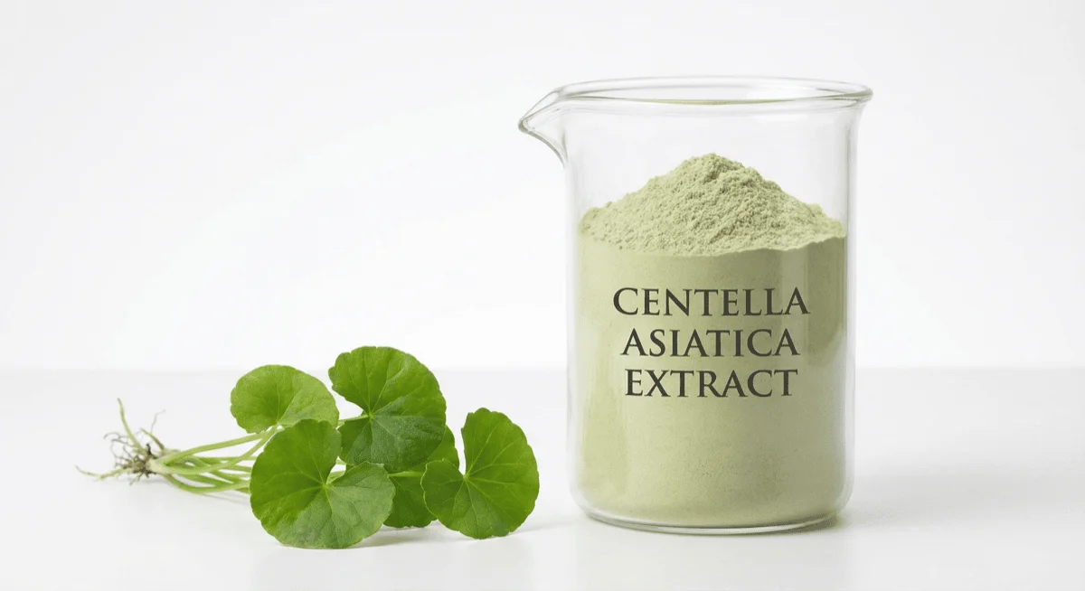 Centella Asiatica Extract — concept illustration, not a batch sample